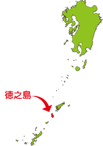 休校日